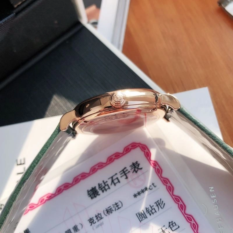 WaterResistant IWC Watches 185656