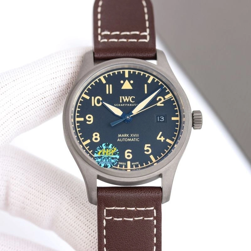 IWC Watches Colorful 185655
