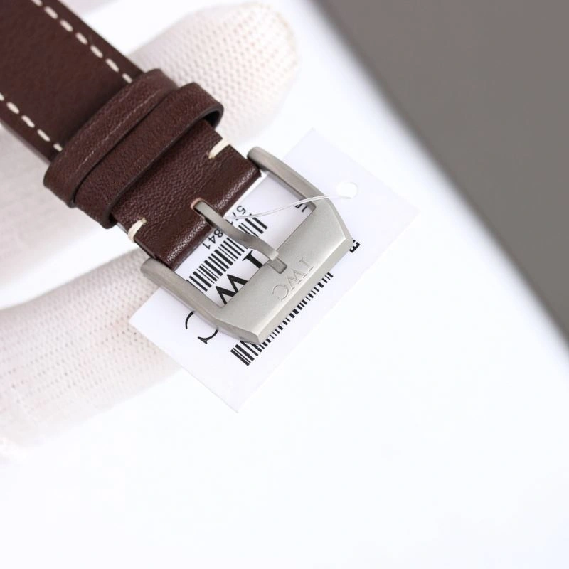 IWC Watches Colorful 185655