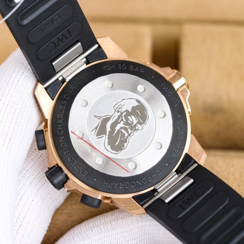 IWC Watches Effortless 185648