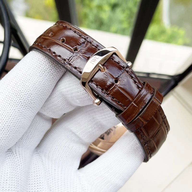 GoAnywhere IWC Watches 185642