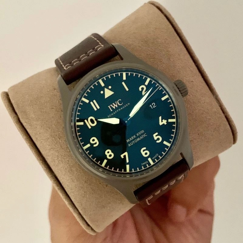 Flexible IWC Watches 185629
