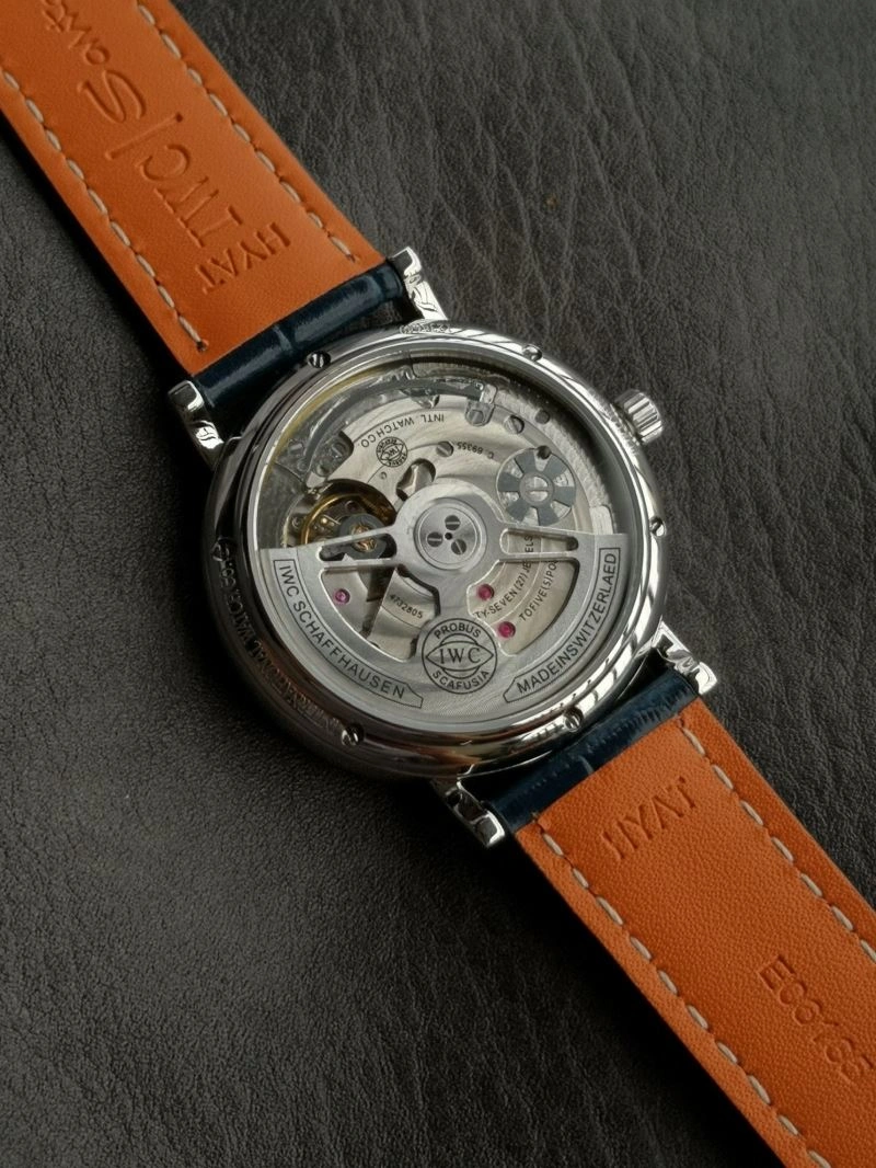 EasyCare IWC Watches 185609