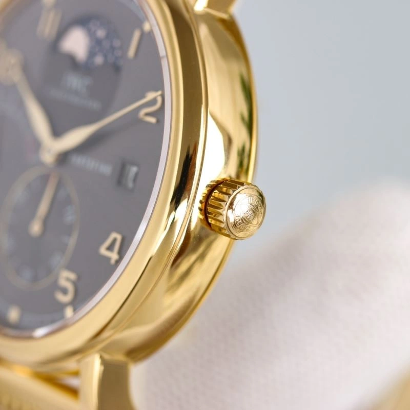 IWC Watches Supportive 185606