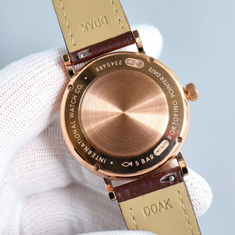 Minimalist IWC Watches 185584