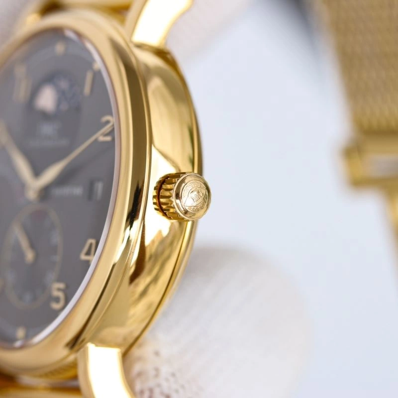 FlexibleFit IWC Watches 185543