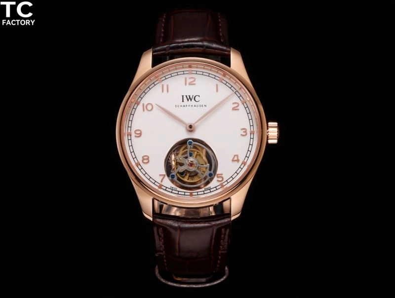 IWC Watches WrinkleFree 185541