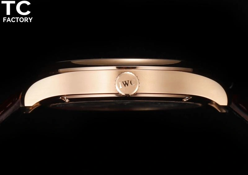 IWC Watches WrinkleFree 185541
