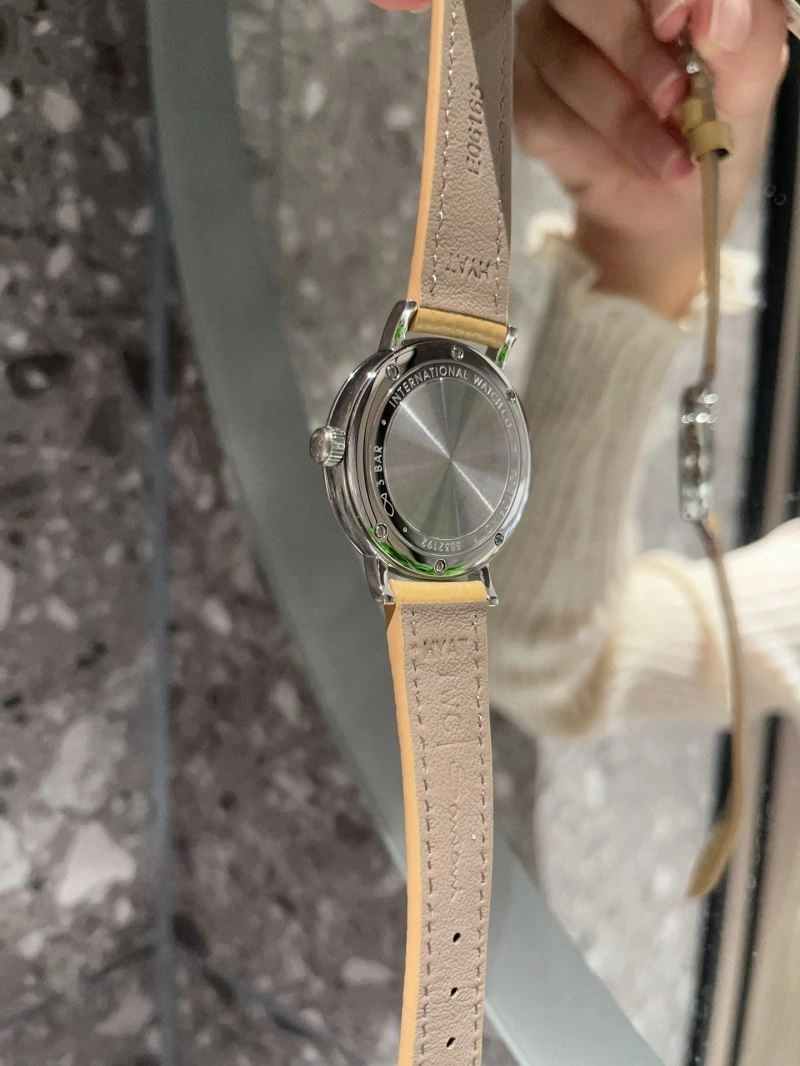 IWC Watches Colorful 185539
