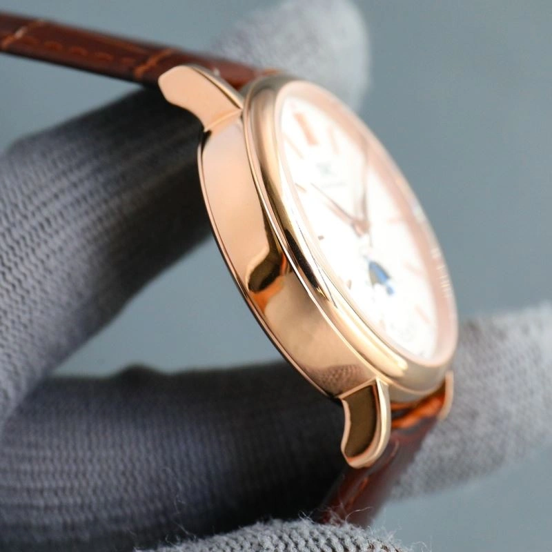 Resilient IWC Watches 185538