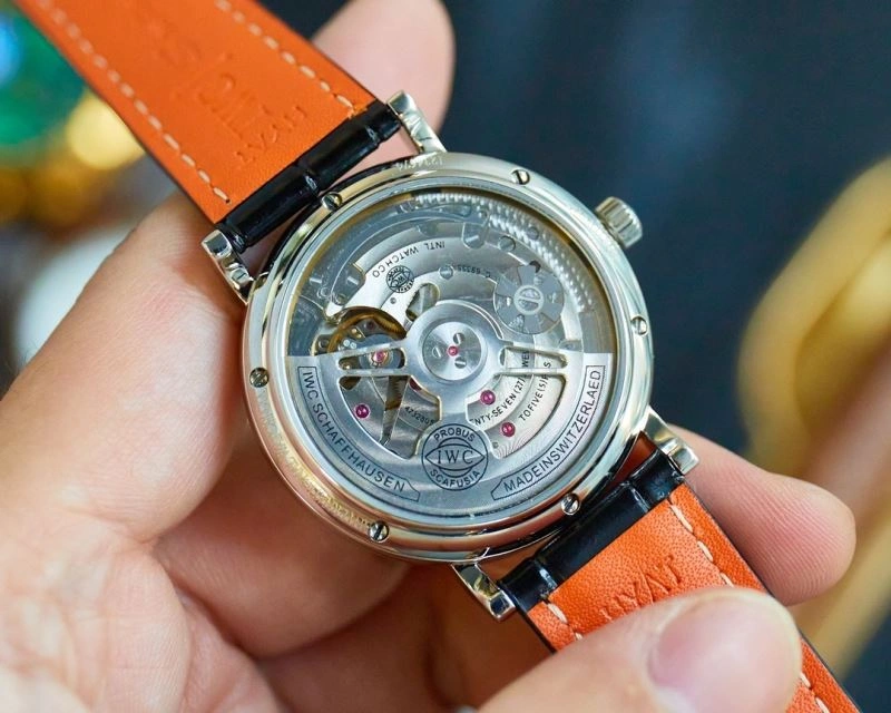 EasyCare IWC Watches 185519