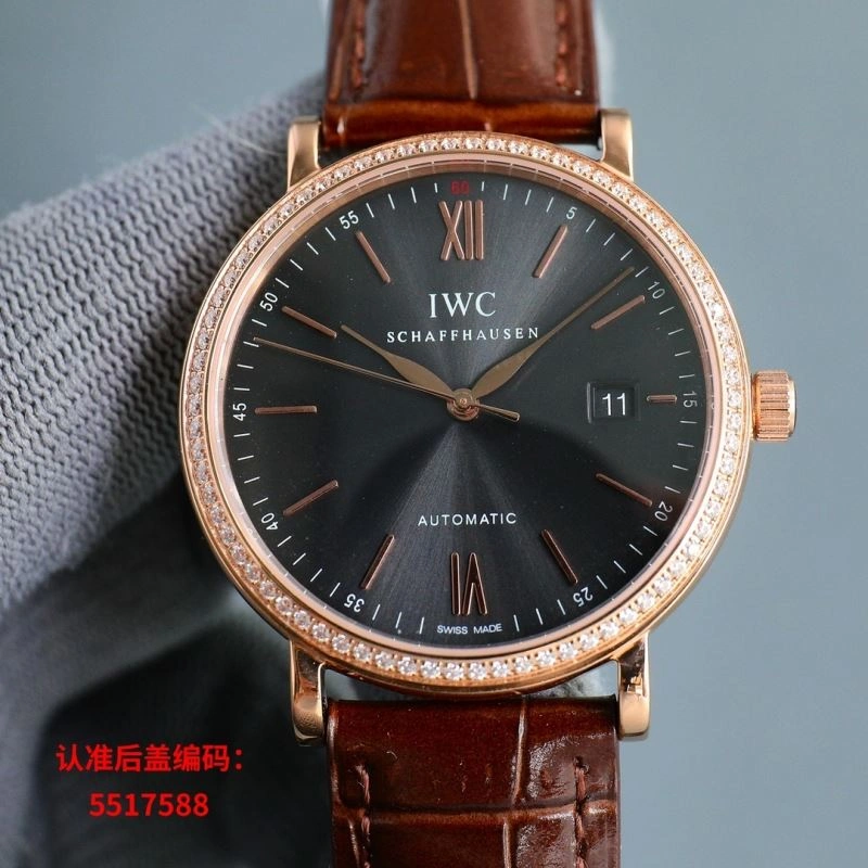 IWC Watches Effortless 185516