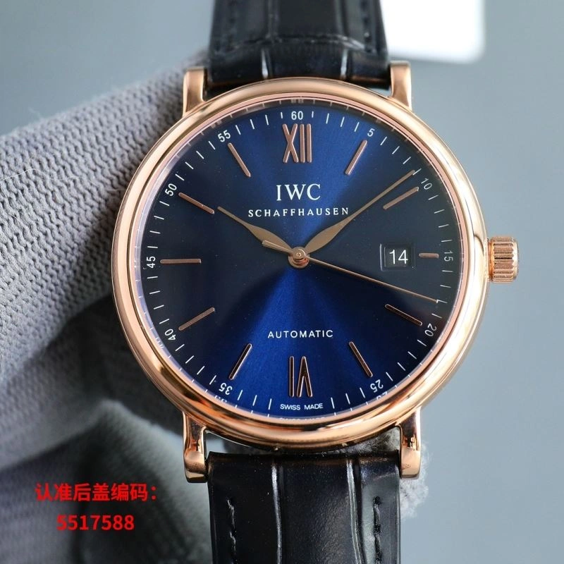 IWC Watches Effortless 185516