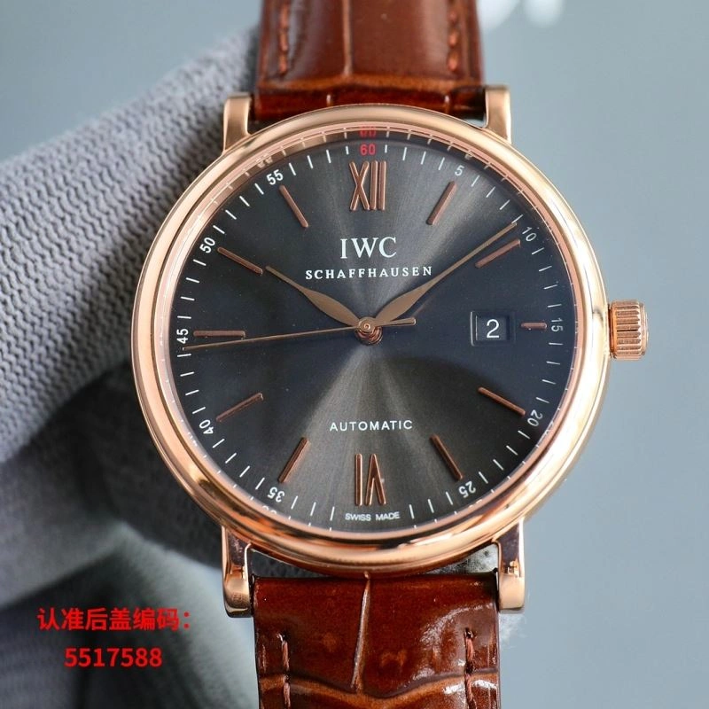IWC Watches Effortless 185516