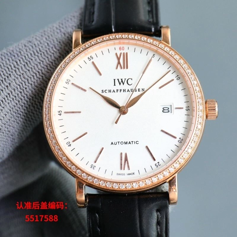 IWC Watches Effortless 185516
