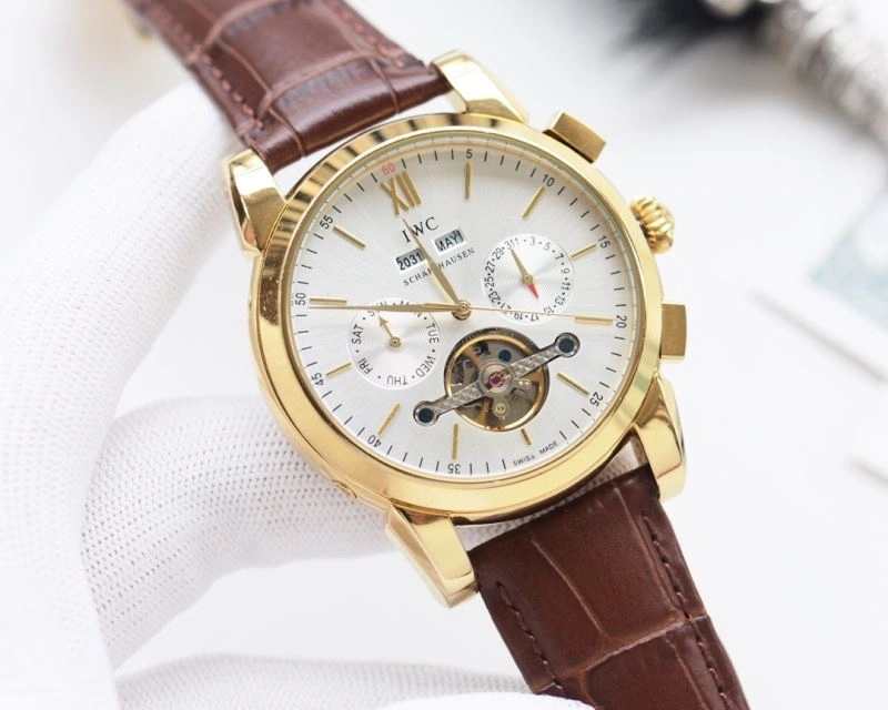IWC Watches Sophisticated 185476
