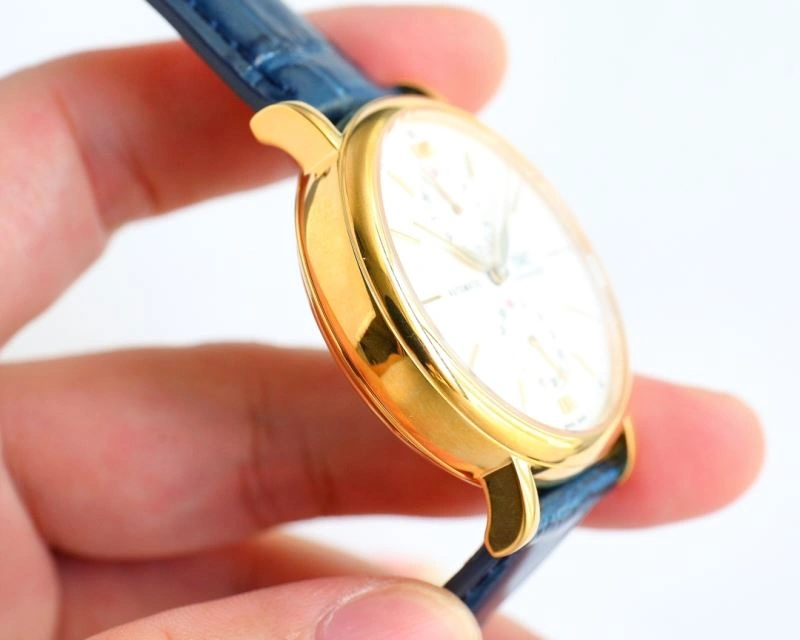 Chic IWC Watches 185458