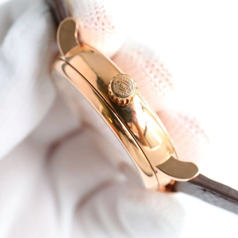 IWC Watches GoAnywhere 185440