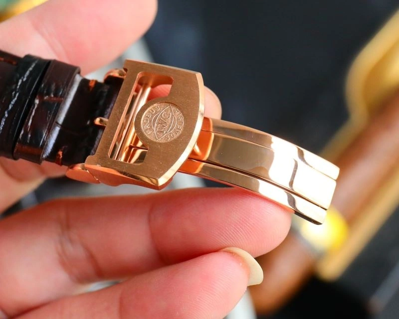 IWC Watches Trendsetting 185436