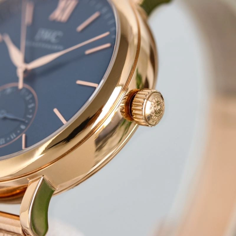 IWC Watches Elegant 185421