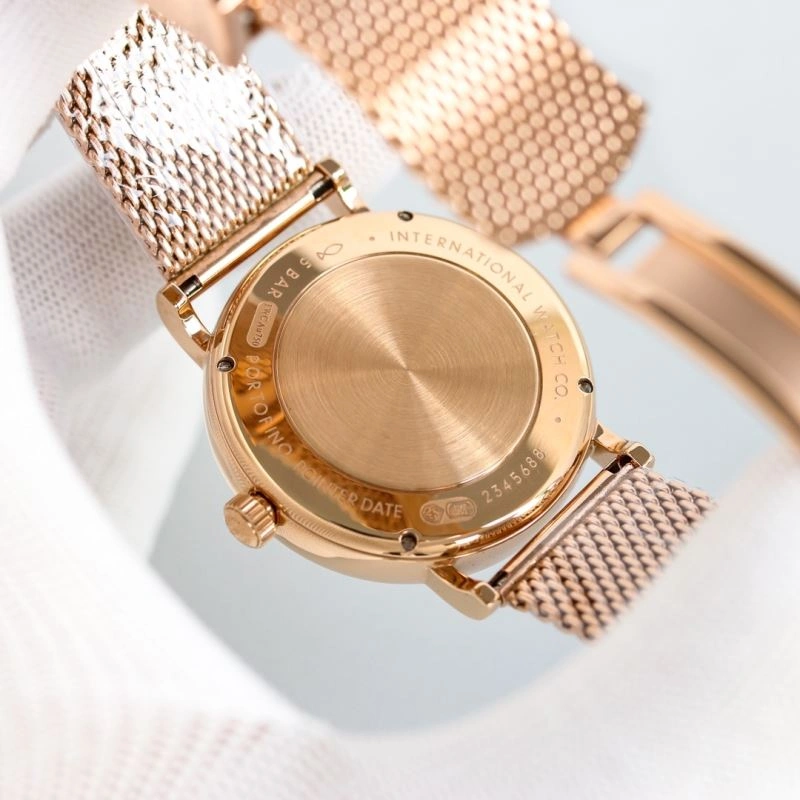IWC Watches Elegant 185421
