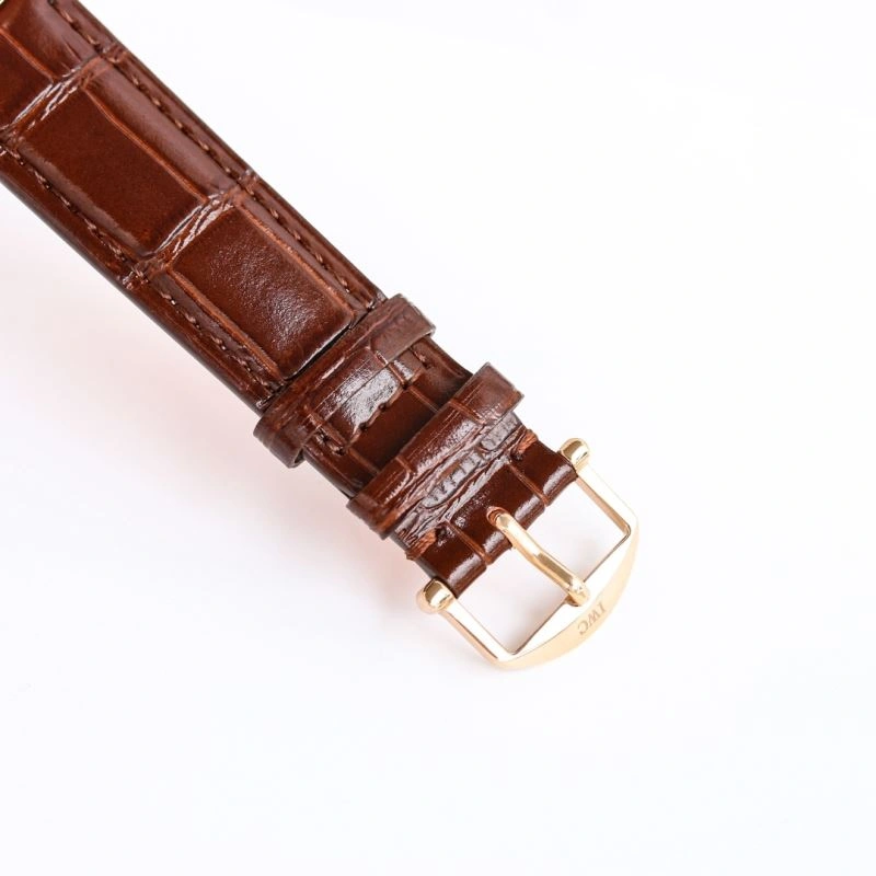 IWC Watches Upgraded 185410