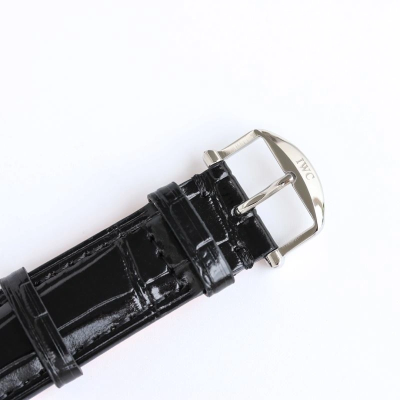 Trendy IWC Watches 185425