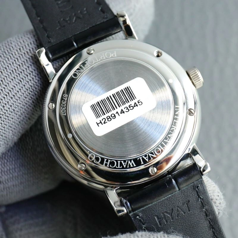 IWC Watches Timeless 185407