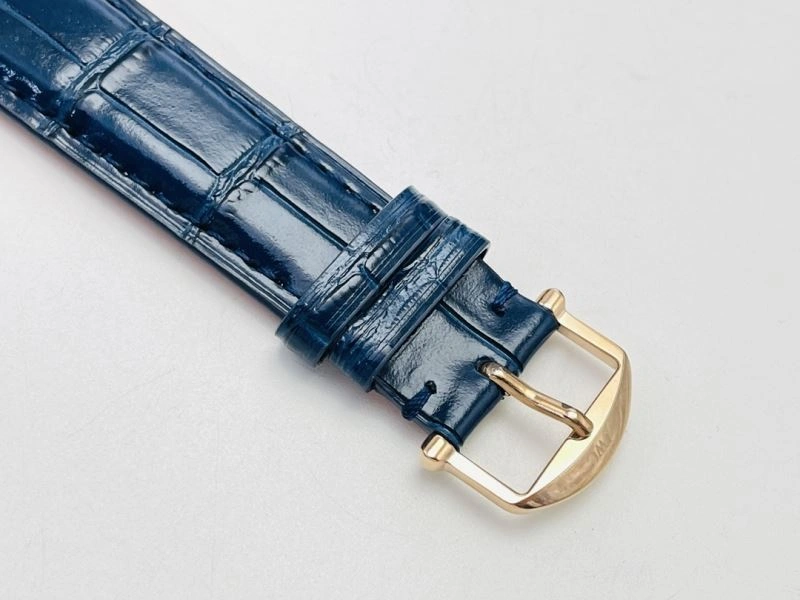 IWC Watches Colorful 185402