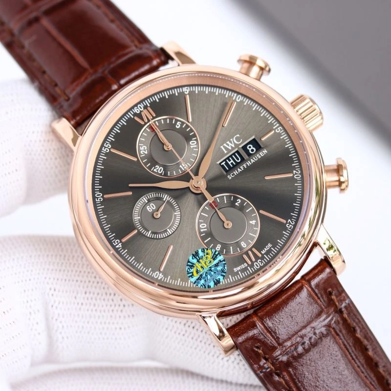 IWC Watches EasyMatch 185359
