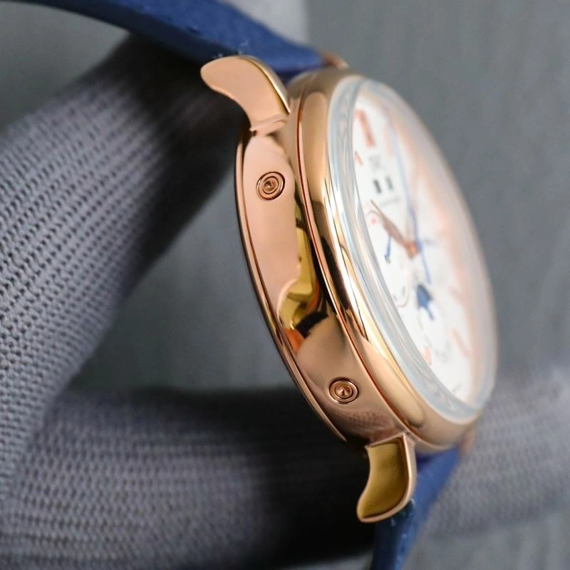 IWC Watches Flexible 185336