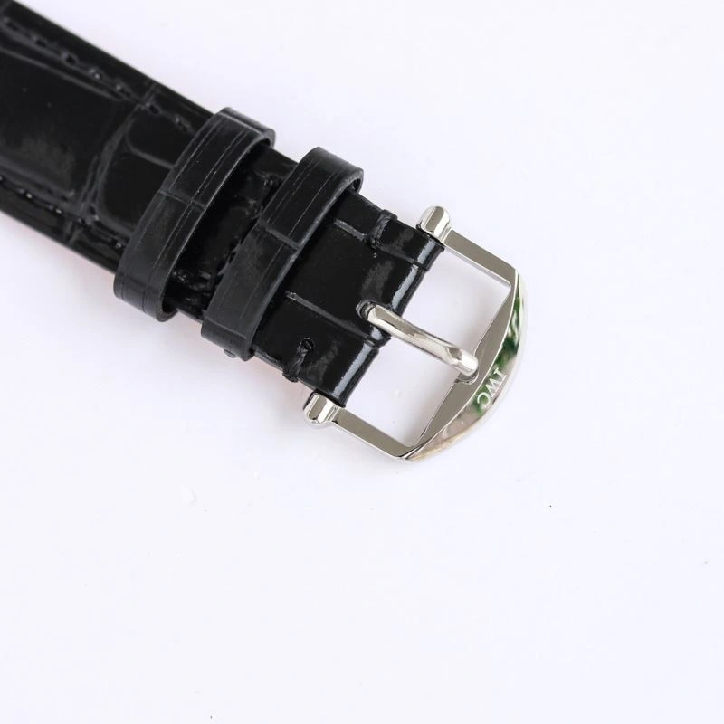 Flexible IWC Watches 185289