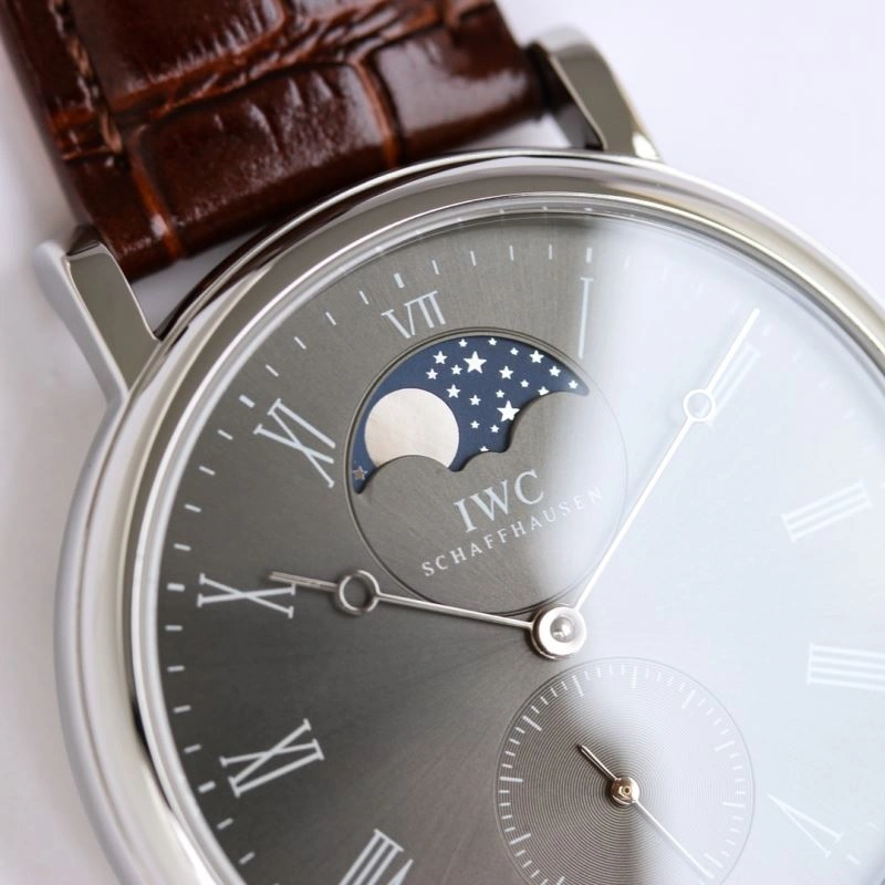 IWC Watches Flexible 185301