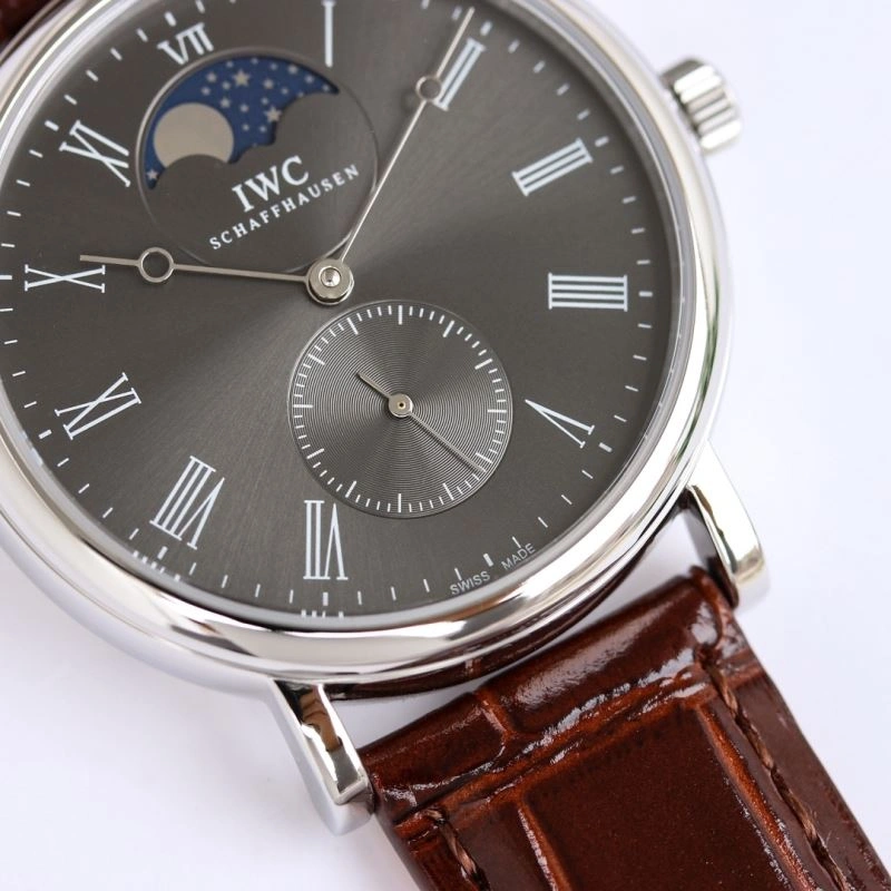 IWC Watches Flexible 185301