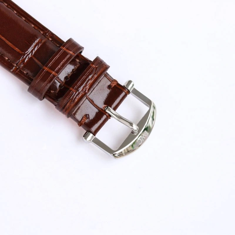 IWC Watches Flexible 185301