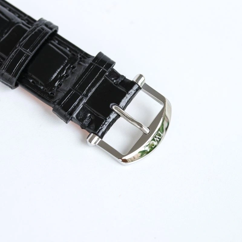 Packable IWC Watches 185299