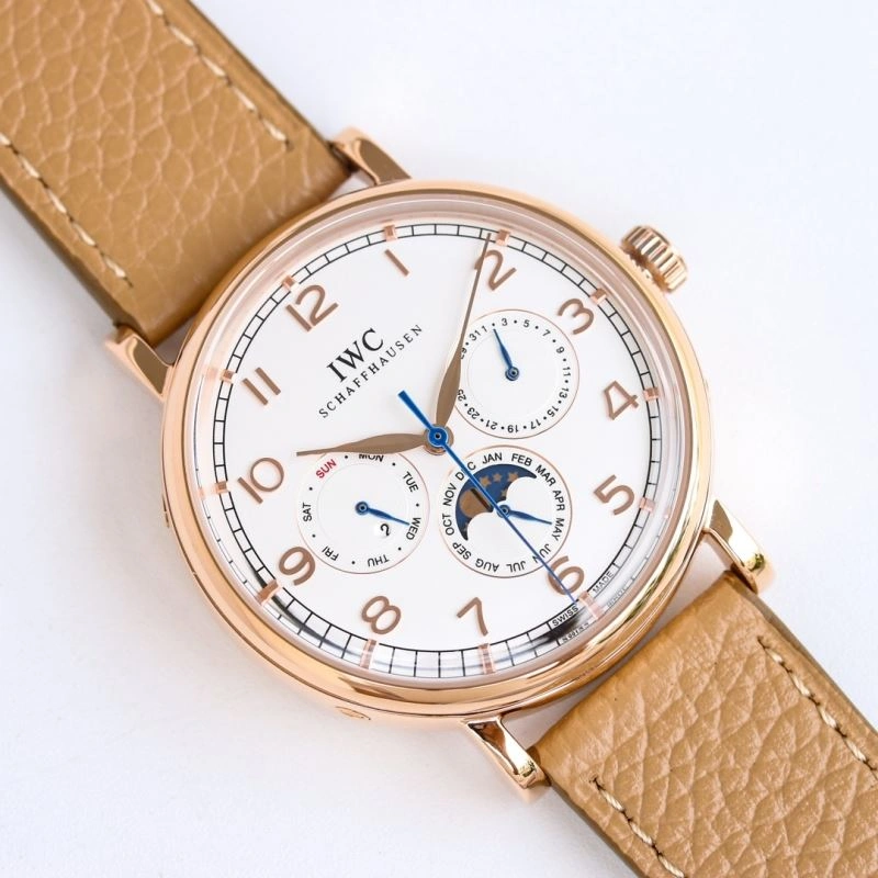 IWC Watches Trendsetting 185309