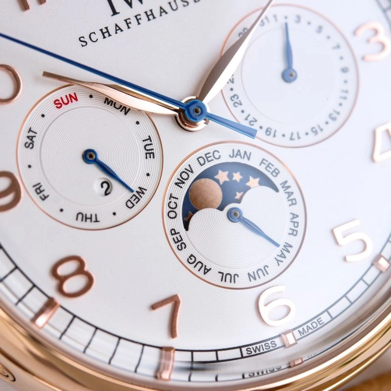 IWC Watches Trendsetting 185309
