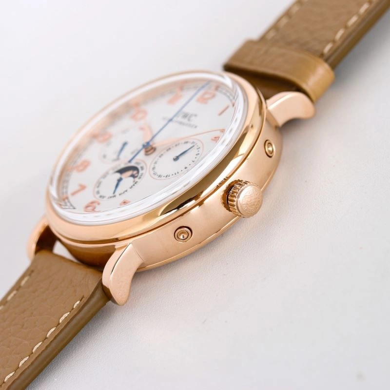 IWC Watches Trendsetting 185309