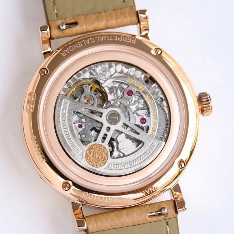 IWC Watches Trendsetting 185309