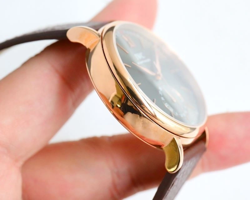 Attractive IWC Watches 185282