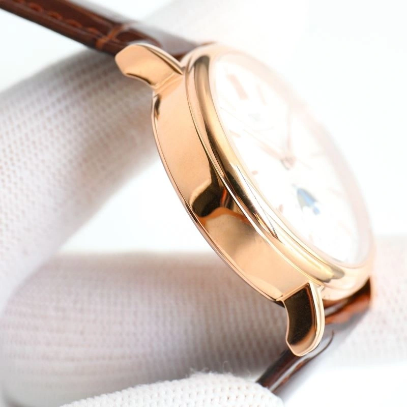 IWC Watches Versatile 185269