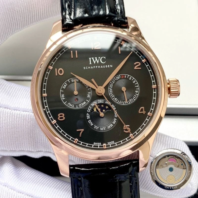 IWC Watches ZeroBulk 185253