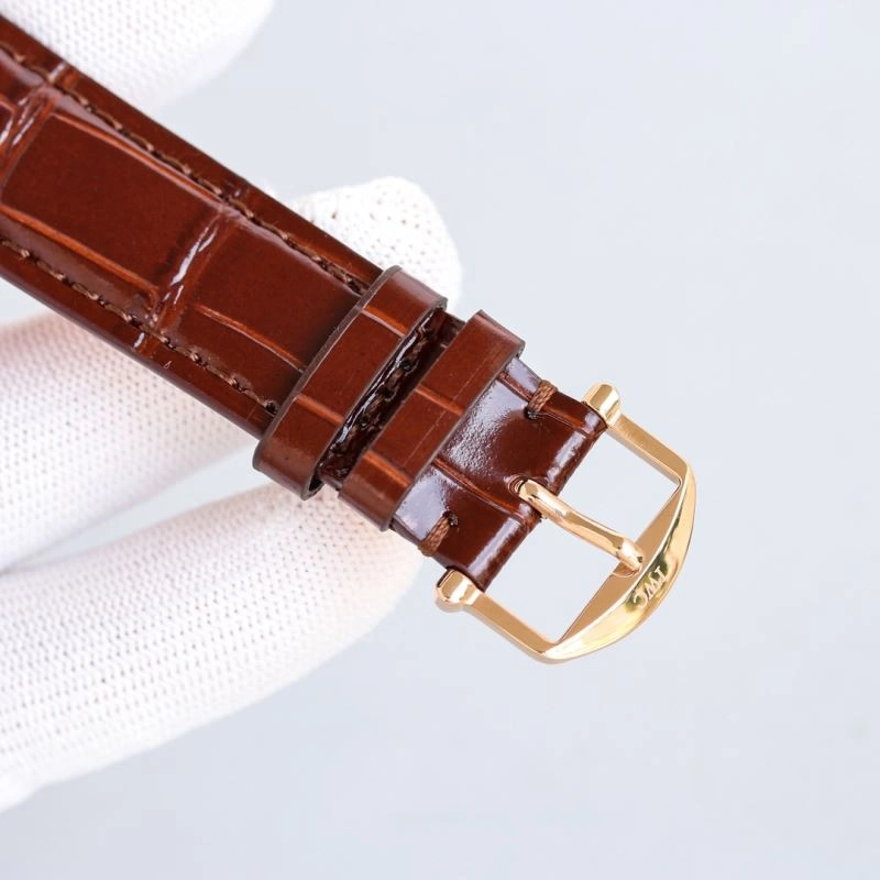 OdorResistant IWC Watches 185172