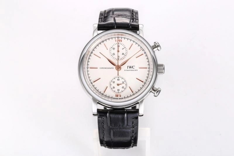 IWC Watches Trendsetting 185117