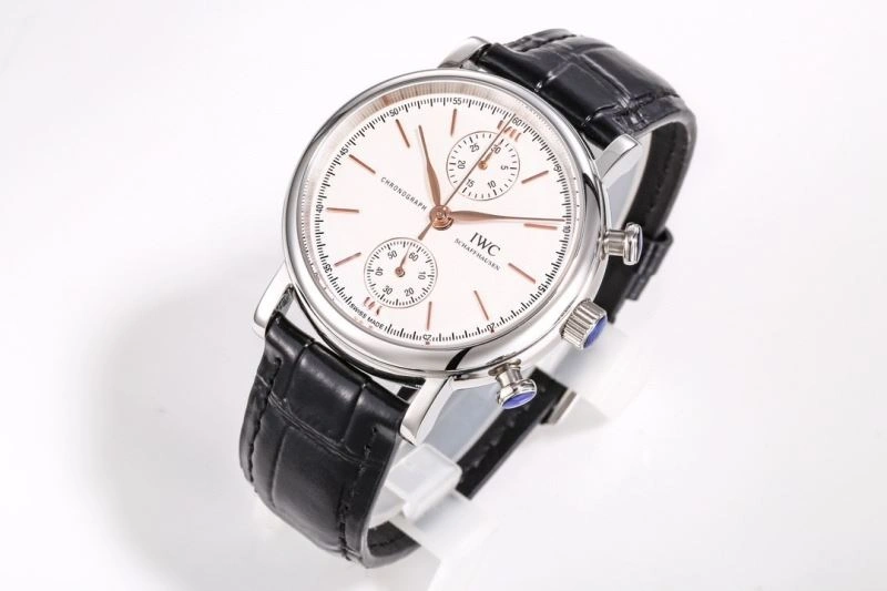 IWC Watches Trendsetting 185117
