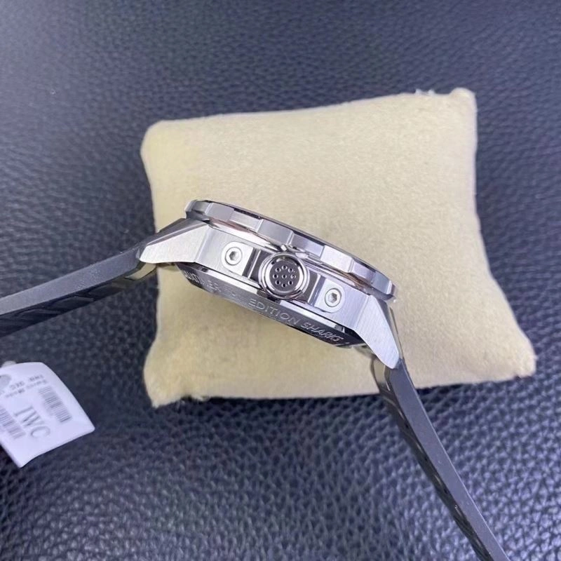 IWC Watches FastDry 185116