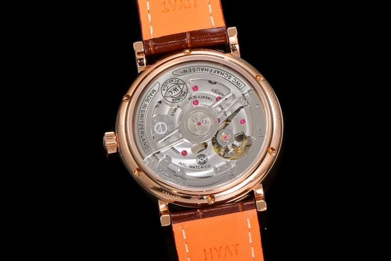 Timeless IWC Watches 185103