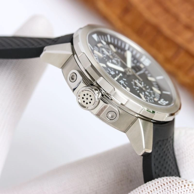IWC Watches Elegant 185092