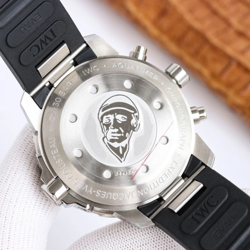IWC Watches Elegant 185092